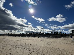 192-09-01-2026 IMG_3392